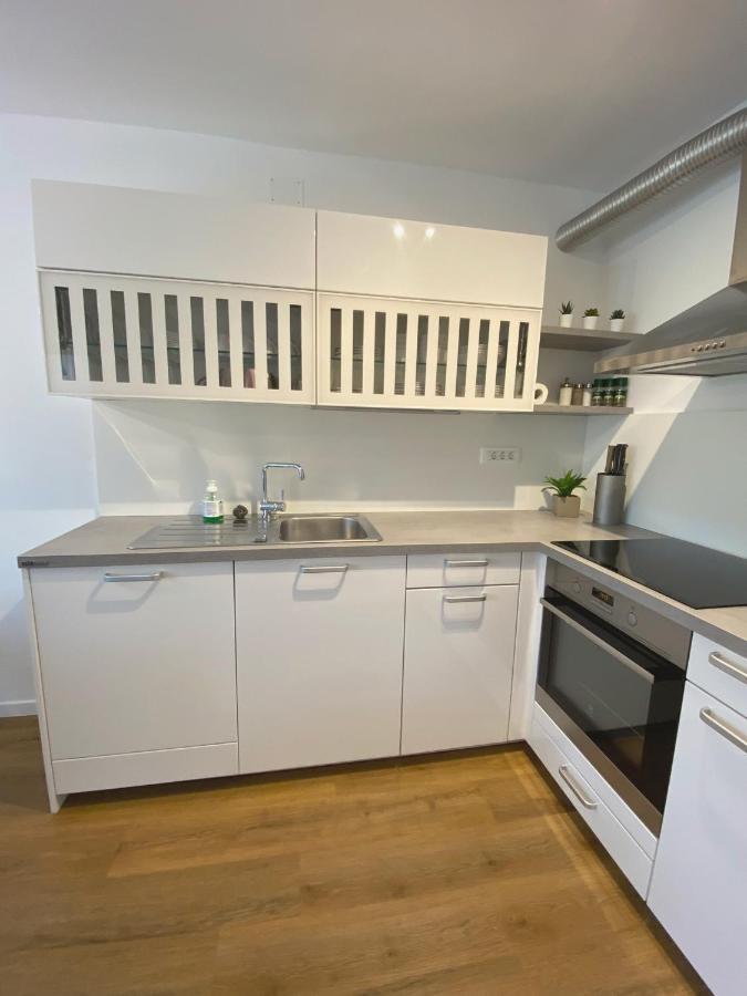Apartment Loyd, Tolmin - Most na Soči Εξωτερικό φωτογραφία